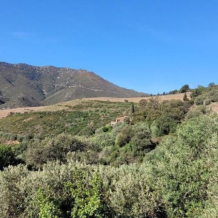 Mas Del Roumany Villa Port Vendres Kültér fotó