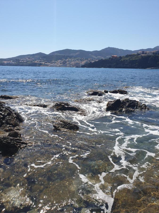 Mas Del Roumany Villa Port Vendres Kültér fotó