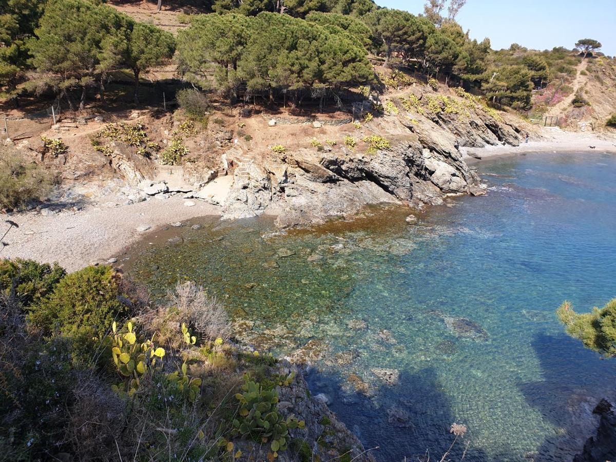 Mas Del Roumany Villa Port Vendres Kültér fotó