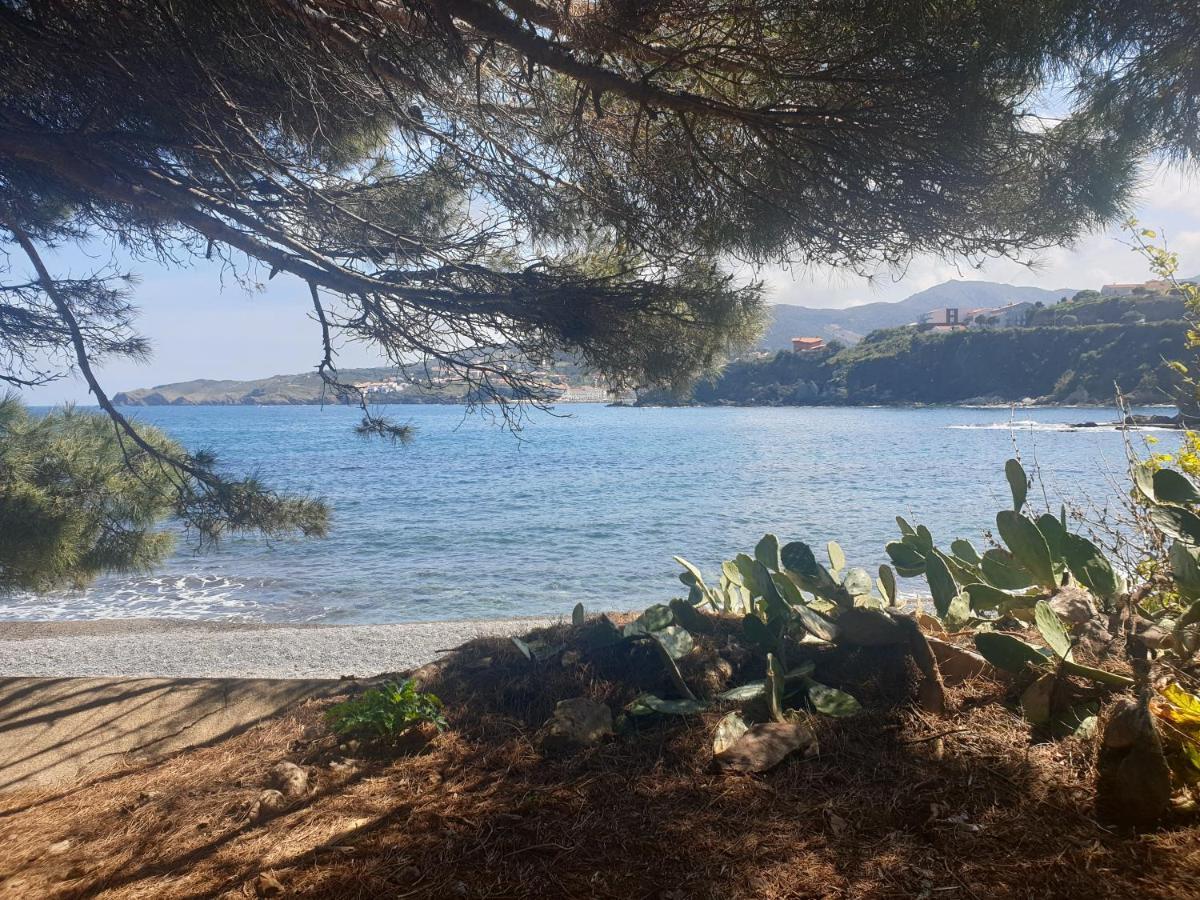 Mas Del Roumany Villa Port Vendres Kültér fotó