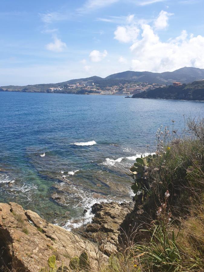 Mas Del Roumany Villa Port Vendres Kültér fotó