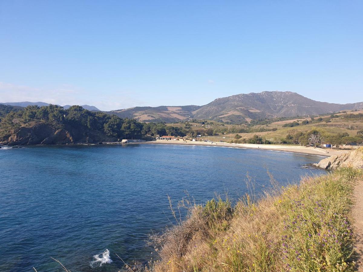 Mas Del Roumany Villa Port Vendres Kültér fotó
