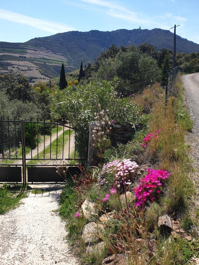Mas Del Roumany Villa Port Vendres Kültér fotó
