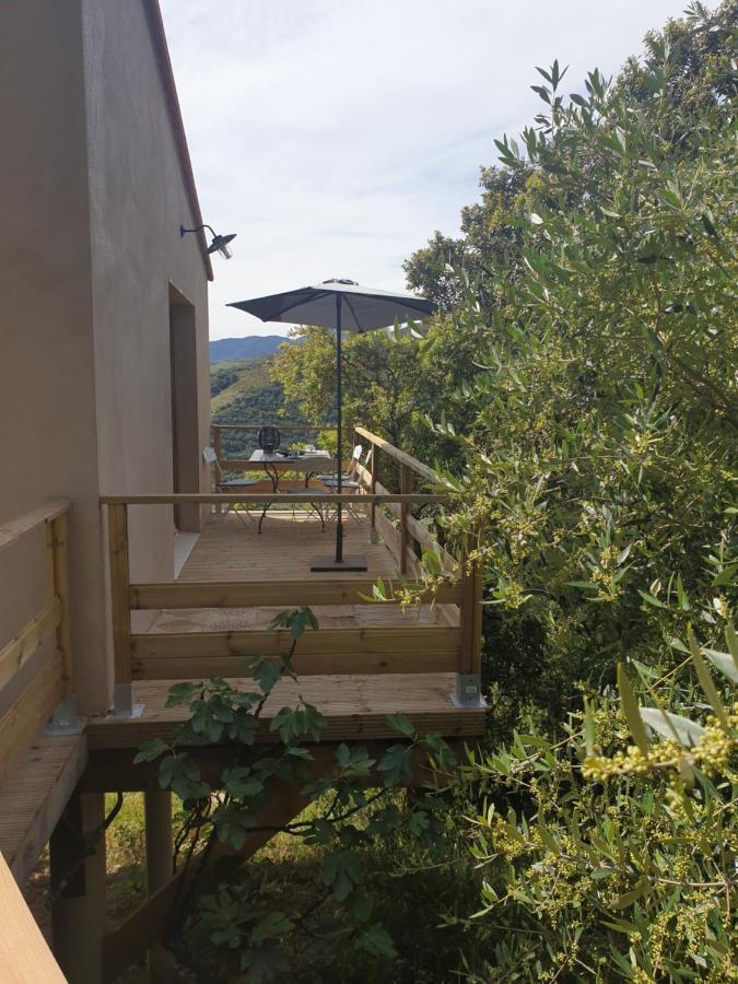 Mas Del Roumany Villa Port Vendres Kültér fotó