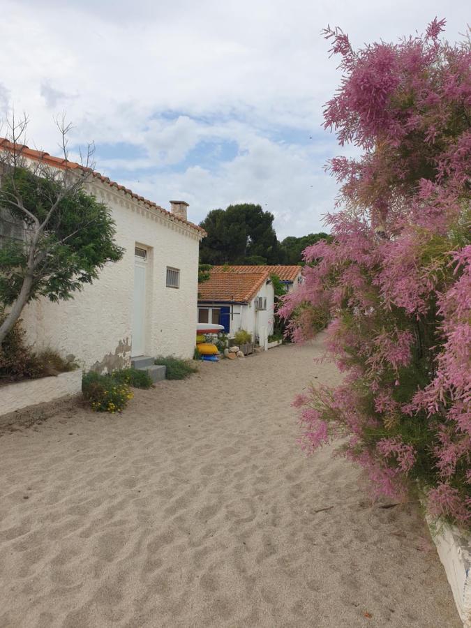 Mas Del Roumany Villa Port Vendres Kültér fotó