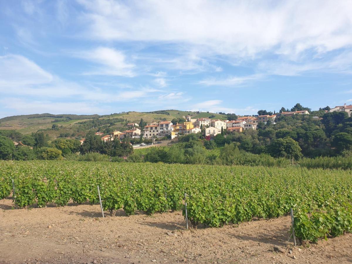 Mas Del Roumany Villa Port Vendres Kültér fotó