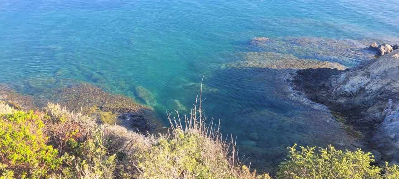 Mas Del Roumany Villa Port Vendres Kültér fotó
