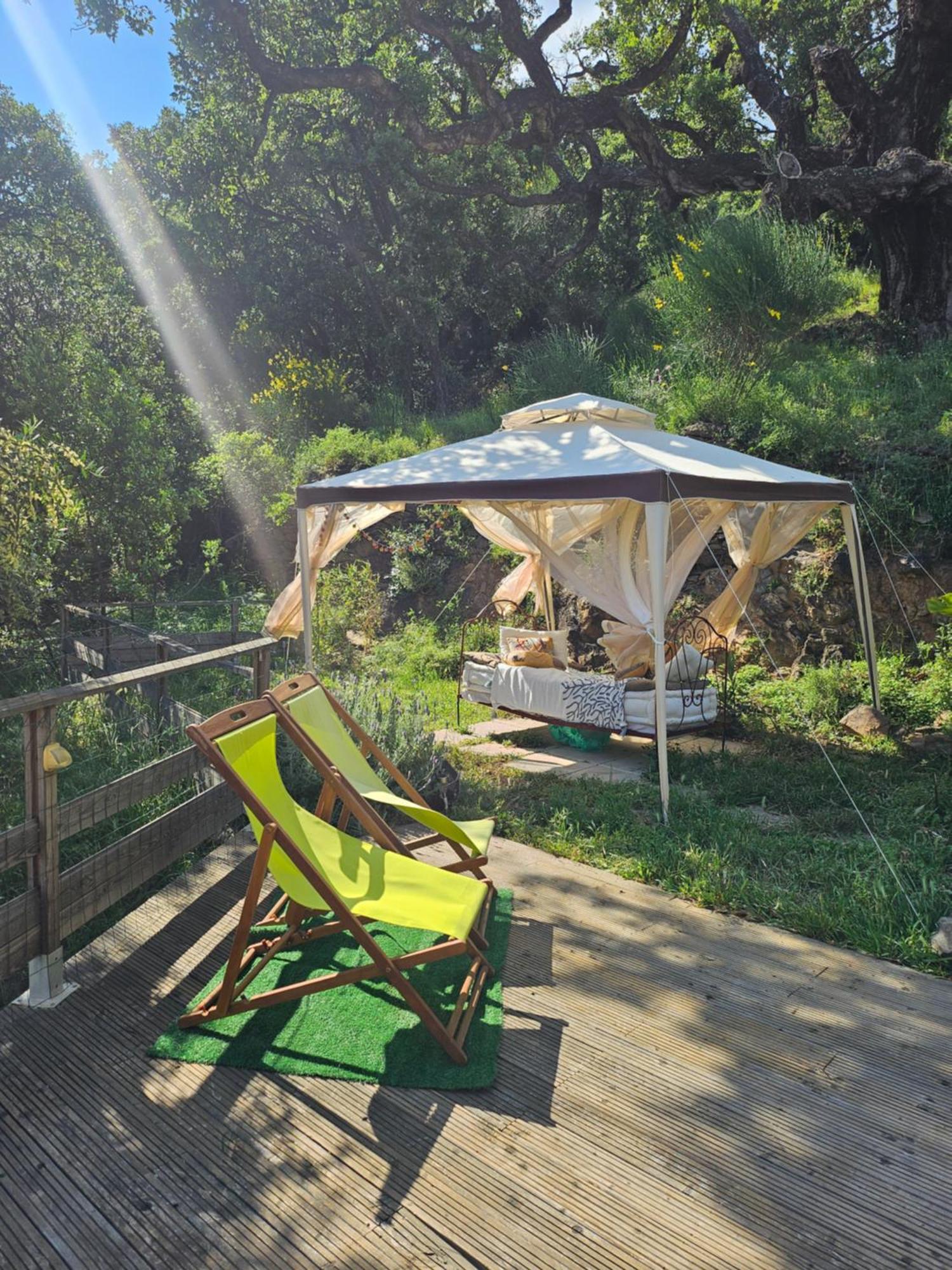 Mas Del Roumany Villa Port Vendres Kültér fotó